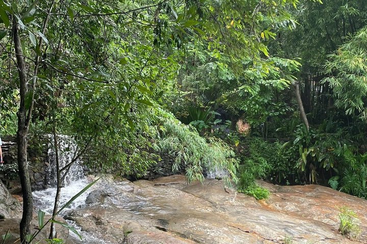 Wandern Sie durch üppigen Dschungel zu ruhigen Tempeln und genießen Sie den Panoramablick auf die Stadt vom Doi Suthep in Chiang Mai, Foto 33 | wizardtrip