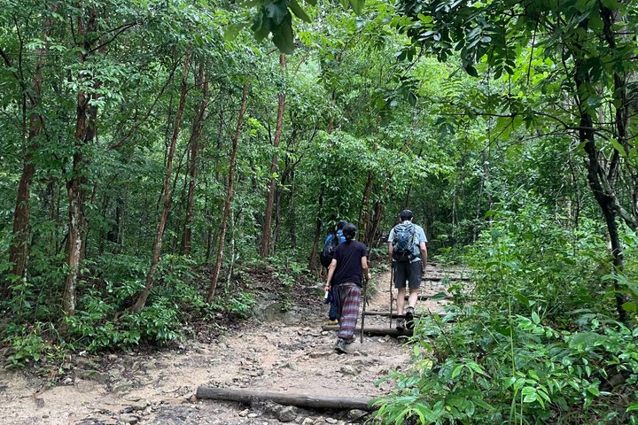 Wandern Sie durch üppigen Dschungel zu ruhigen Tempeln und genießen Sie den Panoramablick auf die Stadt vom Doi Suthep in Chiang Mai, Foto 35 | wizardtrip