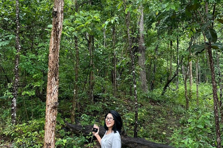 Wandern Sie durch üppigen Dschungel zu ruhigen Tempeln und genießen Sie den Panoramablick auf die Stadt vom Doi Suthep in Chiang Mai, Foto 37 | wizardtrip
