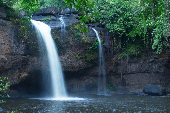 Verken de prachtige watervallen, weelderige jungles en diverse wilde dieren van Khao Yai National Park tijdens een dagtocht vanuit Bangkok, foto 6 | wizardtrip