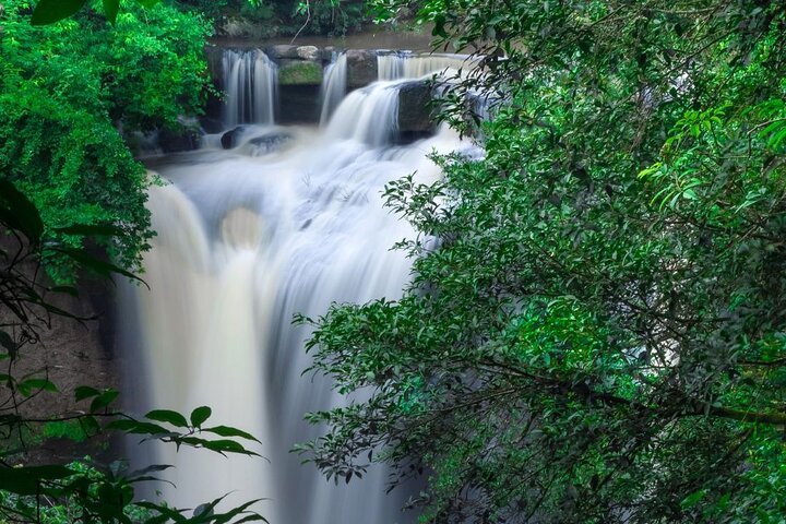 Verken de prachtige watervallen, weelderige jungles en diverse wilde dieren van Khao Yai National Park tijdens een dagtocht vanuit Bangkok, foto 7 | wizardtrip