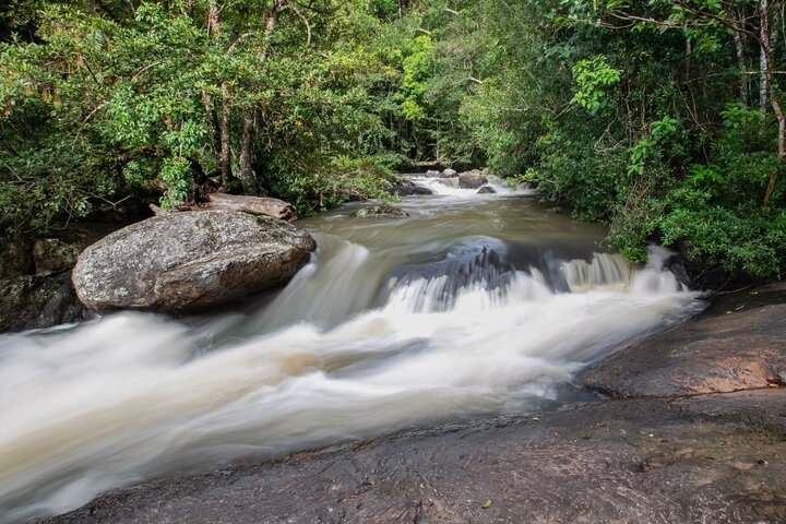 Verken de prachtige watervallen, weelderige jungles en diverse wilde dieren van Khao Yai National Park tijdens een dagtocht vanuit Bangkok, foto 8 | wizardtrip