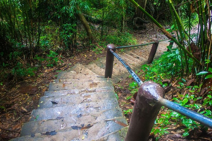 Verken de prachtige watervallen, weelderige jungles en diverse wilde dieren van Khao Yai National Park tijdens een dagtocht vanuit Bangkok, foto 9 | wizardtrip