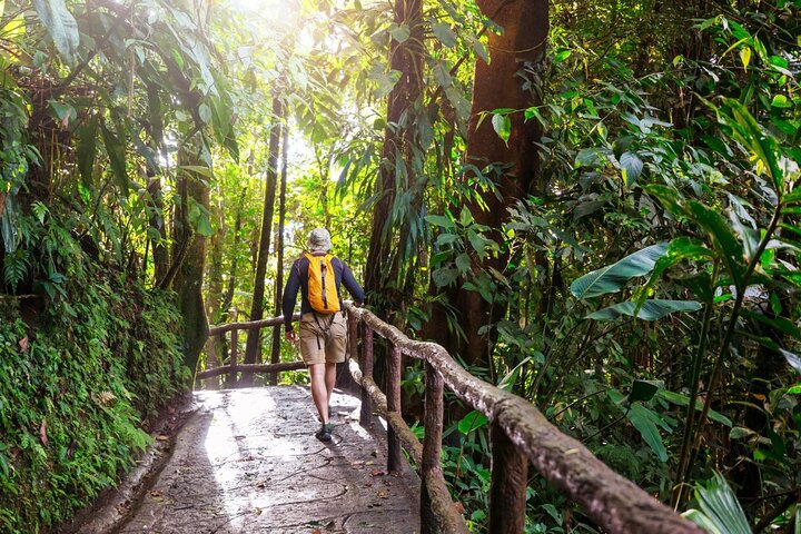 Verken de prachtige watervallen, weelderige jungles en diverse wilde dieren van Khao Yai National Park tijdens een dagtocht vanuit Bangkok, foto 10 | wizardtrip