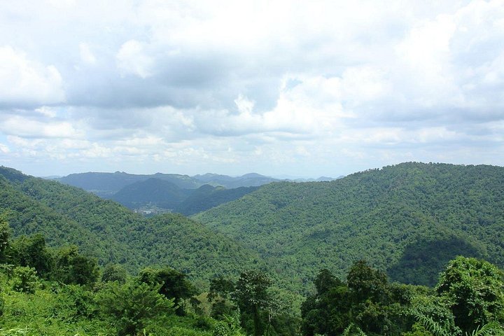 Verken de prachtige watervallen, weelderige jungles en diverse wilde dieren van Khao Yai National Park tijdens een dagtocht vanuit Bangkok, foto 11 | wizardtrip