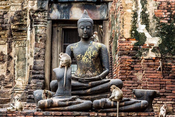 Lopburi Affen Tempel & Ayutthaya Altstadt Tour ab Bangkok | wizardtrip