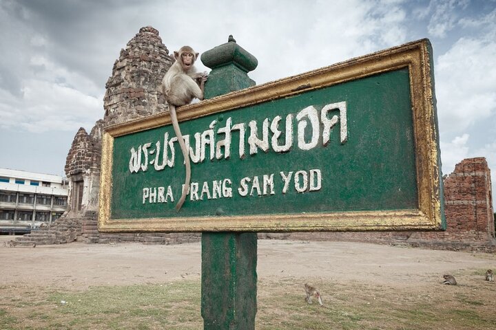 バンコクからの日帰り旅行で、アユタヤの古代寺院を探索し、プラ・プラーン・サム・ヨートで猿と触れ合おう、写真12 | wizardtrip
