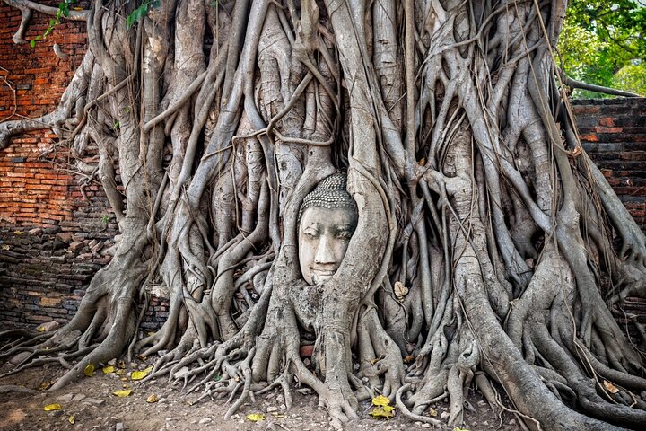 En heldagstur fra Bangkok som besøker Maeklong Railway Market, Damnoen Saduak Flytende Marked og Ayutthaya historiske park, foto 12 | wizardtrip