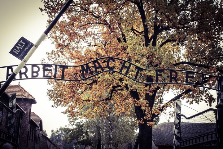 Omvisning i Auschwitz-Birkenau minnesmerke og museum fra Krakow, inkludert transport, foto 13 | wizardtrip