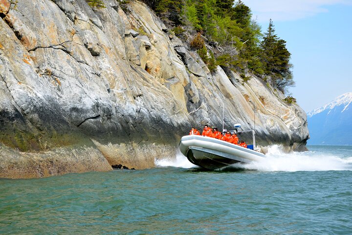 Erleben Sie ein aufregendes Rafting-Abenteuer in Skagway, Alaska, mit Erkundung von Fjorden und Tierwelt, Foto 6 | wizardtrip