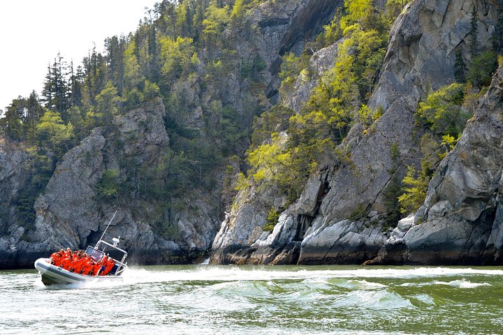 Erleben Sie ein aufregendes Rafting-Abenteuer in Skagway, Alaska, mit Erkundung von Fjorden und Tierwelt, Foto 7 | wizardtrip