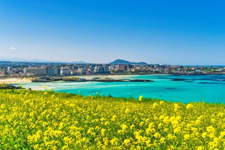 Tour UNESCO dell'isola di Jeju con villaggi tradizionali, paesaggi naturali e siti culturali, foto 19 | wizardtrip