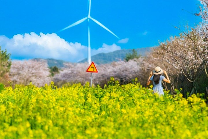 Tour UNESCO dell'isola di Jeju con villaggi tradizionali, paesaggi naturali e siti culturali, foto 25 | wizardtrip