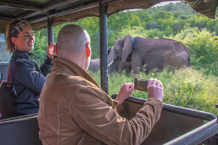 Heldags Big 5 safari tur i Hluhluwe-Imfolozi Park, Sør-Afrika, foto 16 | wizardtrip