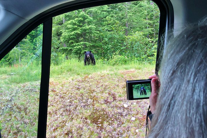Whistler sightseeingtur som visar sjöar, berg, OS-arenor och lokal kultur, foto 10 | wizardtrip