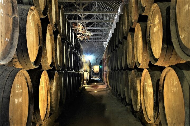 Private Wine Tasting in the Setúbal Wine Region, from Lisbon | wizardtrip