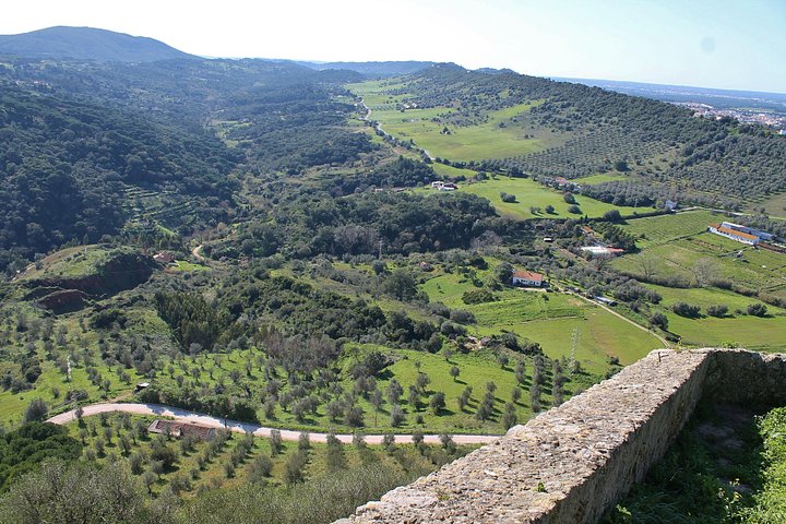 Tour privado de cata de vinos en la región vinícola de Setúbal desde Lisboa, Portugal, foto 9 | wizardtrip