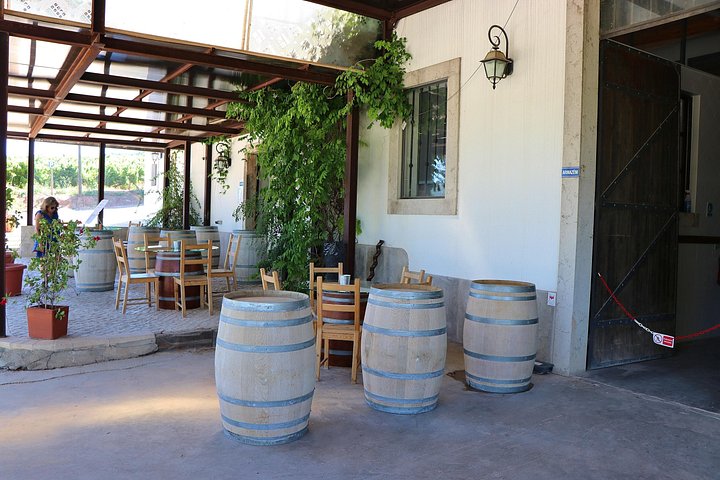 Tour privado de cata de vinos en la región vinícola de Setúbal desde Lisboa, Portugal, foto 12 | wizardtrip