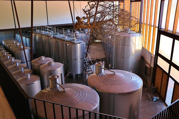 Tour privado de cata de vinos en la región vinícola de Setúbal desde Lisboa, Portugal, foto 13 | wizardtrip