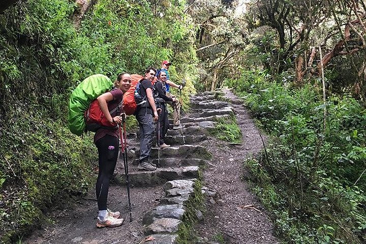 Wandern Sie den alten Inka-Pfad durch die Anden zur prächtigen Zitadelle Machu Picchu in Peru, Foto 14 | wizardtrip