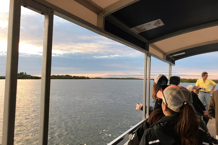 Tierbeobachtungstour auf dem Indian River Lagoon mit erfahrenem Kapitän | wizardtrip