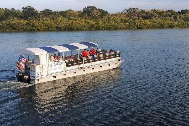 Desfrute de um passeio de barco panorâmico observando a vida selvagem e explorando áreas naturais na Indian River Lagoon da Flórida, foto 6 | wizardtrip