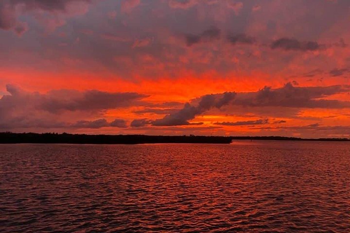 Desfrute de um passeio de barco panorâmico observando a vida selvagem e explorando áreas naturais na Indian River Lagoon da Flórida, foto 7 | wizardtrip