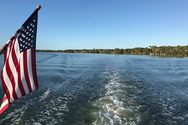 Desfrute de um passeio de barco panorâmico observando a vida selvagem e explorando áreas naturais na Indian River Lagoon da Flórida, foto 10 | wizardtrip