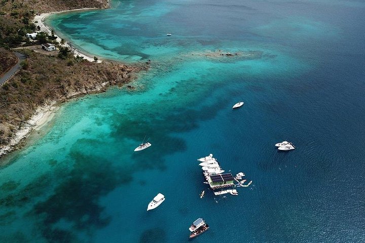 Catamaran zeil- en snorkeltocht met lunch bij een drijvende tacobar op de Maagdeneilanden, foto 8 | wizardtrip