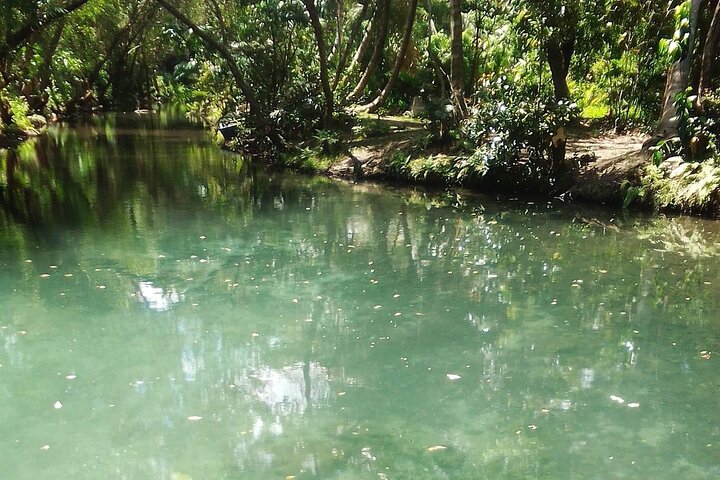 Excursion aventure aux 7 Cascades de Damajagua en République Dominicaine, avec toboggans naturels et baignade, photo 4 | wizardtrip