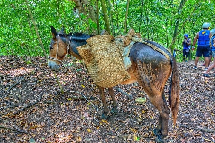 Excursion aventure aux 7 Cascades de Damajagua en République Dominicaine, avec toboggans naturels et baignade, photo 7 | wizardtrip