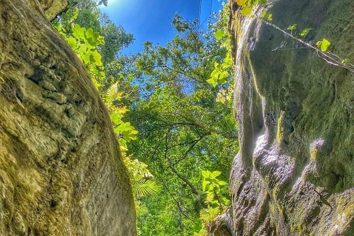 Excursion aventure aux 7 Cascades de Damajagua en République Dominicaine, avec toboggans naturels et baignade, photo 8 | wizardtrip