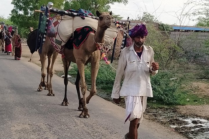 Private tour exploring the historic Blue City of Jodhpur, India, including forts, palaces, and markets, photo 117 | wizardtrip