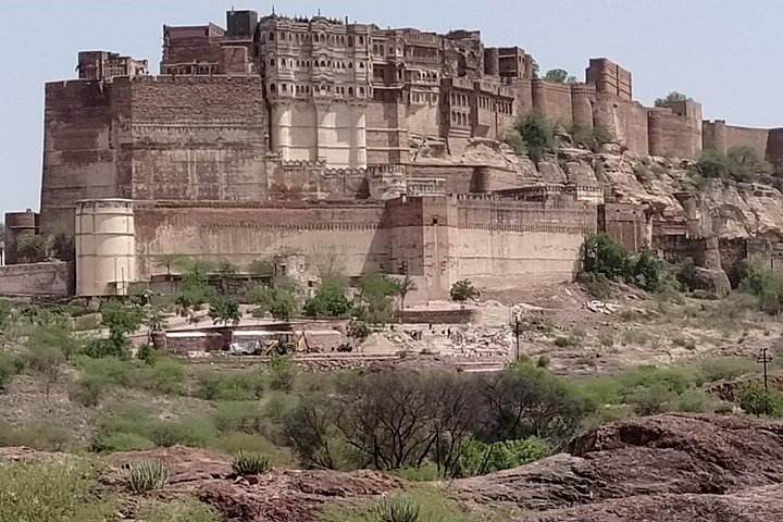 Private tour exploring the historic Blue City of Jodhpur, India, including forts, palaces, and markets, photo 144 | wizardtrip