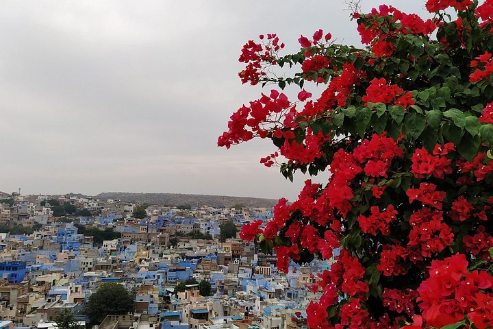 Private tour exploring the historic Blue City of Jodhpur, India, including forts, palaces, and markets, photo 72 | wizardtrip