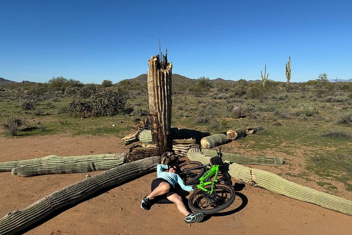 Aventure guidée en vélo électrique à travers le paysage pittoresque du désert de Sonora près de Phoenix, photo 13 | wizardtrip