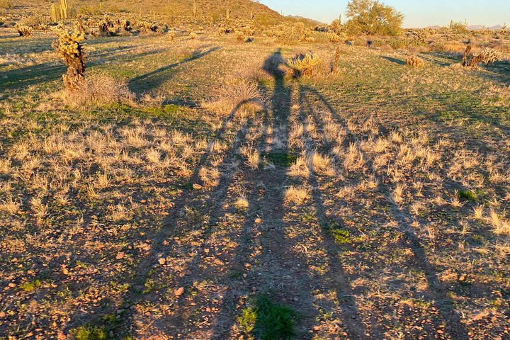 Aventure guidée en vélo électrique à travers le paysage pittoresque du désert de Sonora près de Phoenix, photo 18 | wizardtrip
