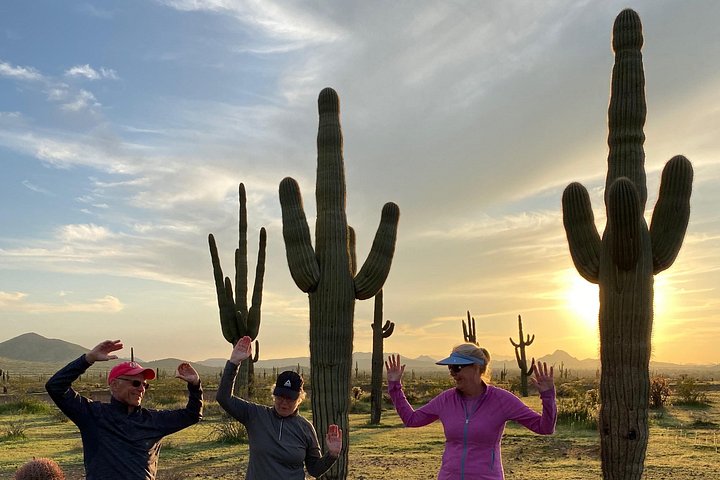 Aventure guidée en vélo électrique à travers le paysage pittoresque du désert de Sonora près de Phoenix, photo 20 | wizardtrip