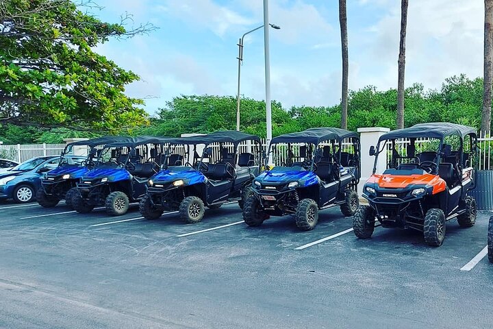 Lei en 4-seters UTV på Aruba for å utforske øyas kystlinjer og naturskjønne ruter, foto 5 | wizardtrip