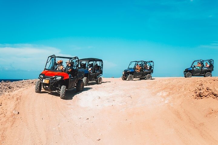 Lei en 4-seters UTV på Aruba for å utforske øyas kystlinjer og naturskjønne ruter, foto 7 | wizardtrip