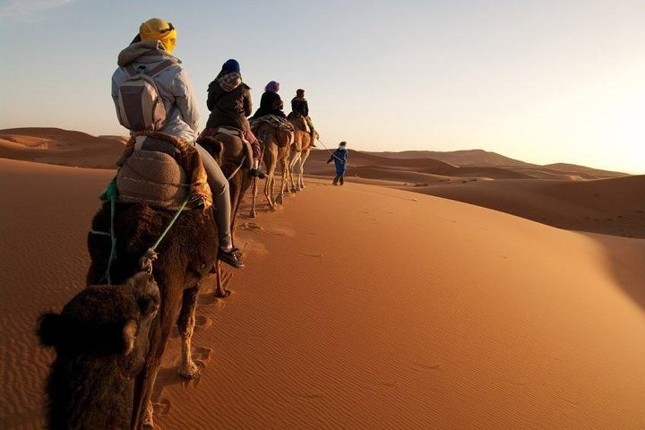 Erleben Sie eine 3-tägige Wüstentour von Marrakesch nach Merzouga mit Kamelritten, Ait Ben Haddou und Erg Chebbi Dünen, Foto 23 | wizardtrip