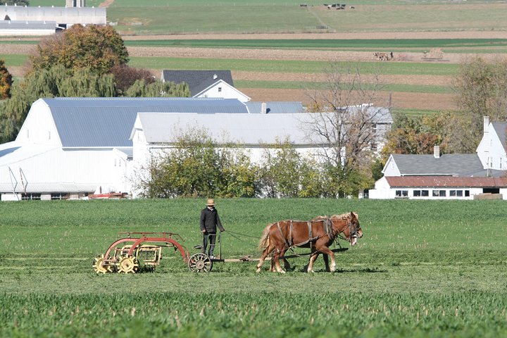 Premium Amish Country Tour including Amish Farm and House | wizardtrip