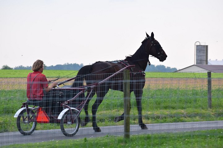 Ontdek de Amish-cultuur en het platteland tijdens een begeleide tour in Lancaster, PA, foto 7 | wizardtrip