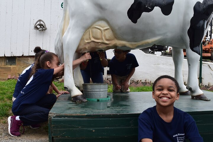 Ontdek de Amish-cultuur en het platteland tijdens een begeleide tour in Lancaster, PA, foto 13 | wizardtrip