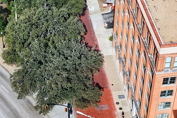 Tour do assassinato de JFK em Dallas explorando locais históricos como Dealey Plaza e Grassy Knoll, foto 15 | wizardtrip