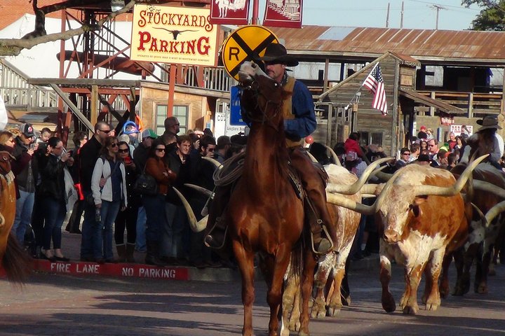 Dallas & Fort Worth Combo City Sightseeing Tour Small-Group | wizardtrip