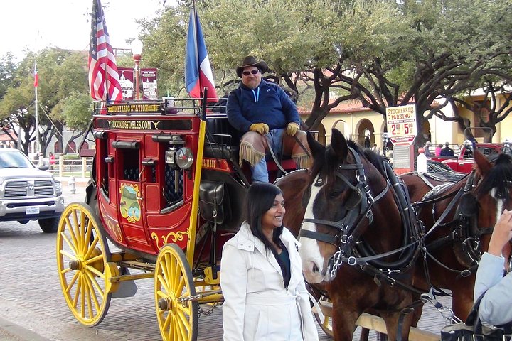 Tour in piccolo gruppo che esplora i punti salienti di Dallas e Fort Worth, foto 11 | wizardtrip