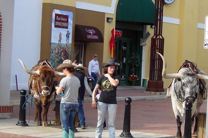 Tour in piccolo gruppo che esplora i punti salienti di Dallas e Fort Worth, foto 23 | wizardtrip