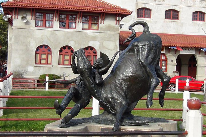 Tour in piccolo gruppo che esplora i punti salienti di Dallas e Fort Worth, foto 24 | wizardtrip