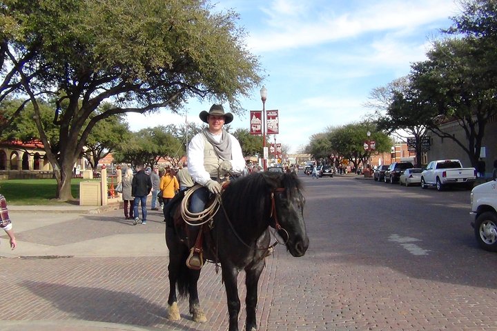 Tour in piccolo gruppo che esplora i punti salienti di Dallas e Fort Worth, foto 26 | wizardtrip